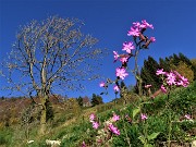 27 Siamo in autunno, ma restiamo fioriti